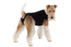 Suitical Recovery Suit
