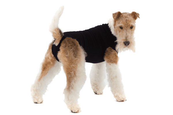 Suitical Recovery Suit