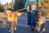 Ruffwear Double Track Coupler