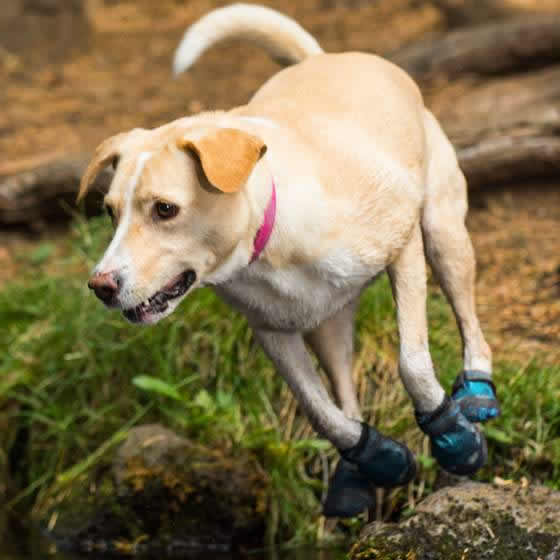 Ruffwear Dog Boots Grip Trex  (2 Boots)