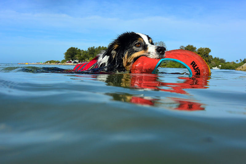 Ruffwear Hydro Plane