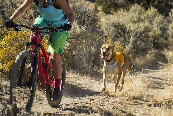 Ruffwear Jet Stream Cooling Vest