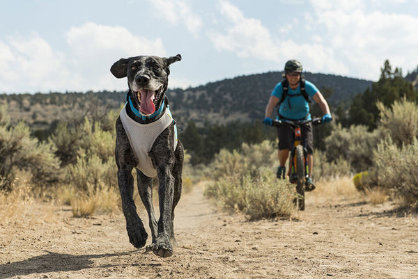 Ruffwear Jet Stream Cooling Vest