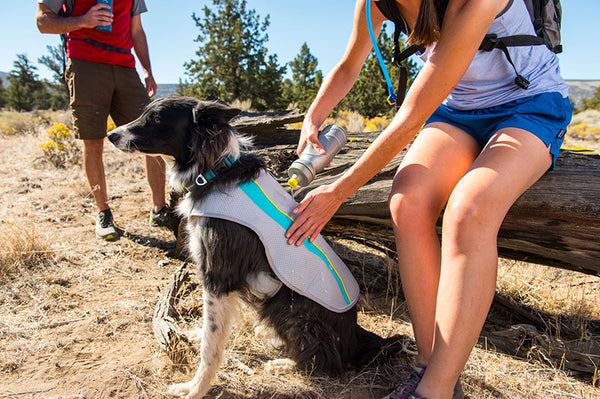 Ruffwear Swamp Cooler