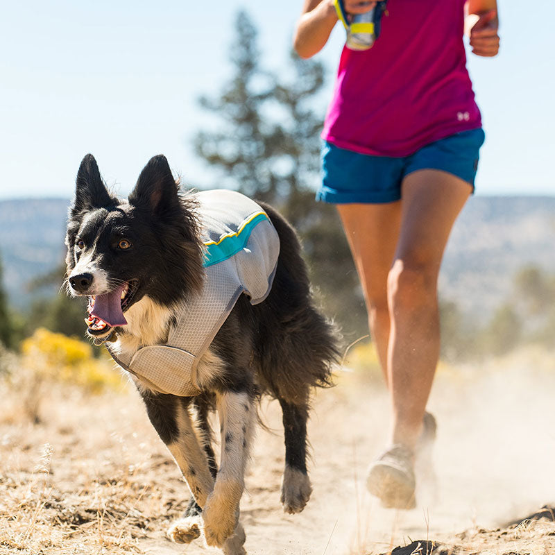 Ruffwear Swamp Cooler