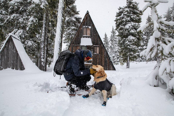 Ruffwear Cloud Chaser Soft Shell Jacket