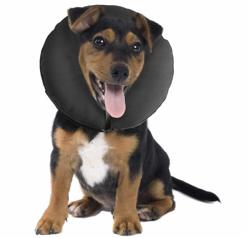 ZenPet Inflatable Protective Collar