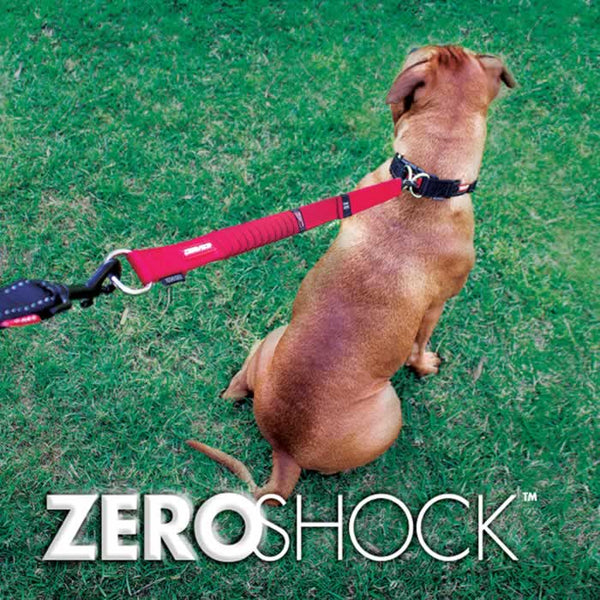 EzyDog Zero Shock Extension
