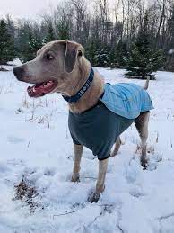 Ruffwear Cloud Chaser Soft Shell Jacket