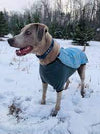 Ruffwear Cloud Chaser Soft Shell Jacket