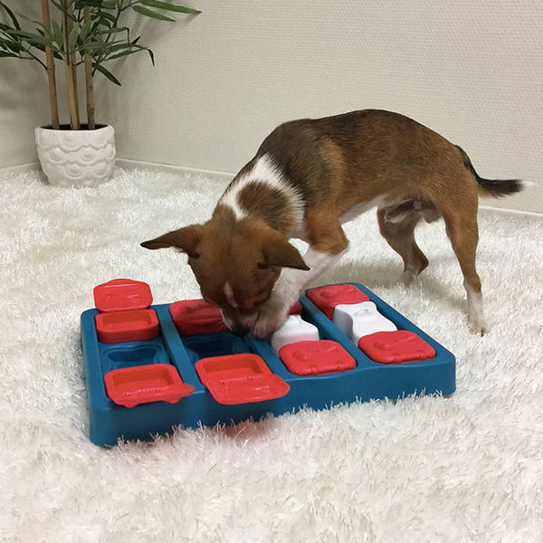 Nina Ottosson Dog Brick Game