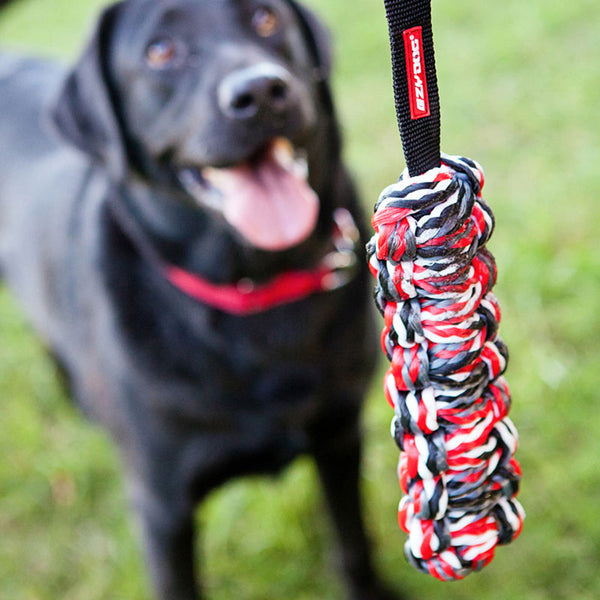 EzyDog Beaver Tail