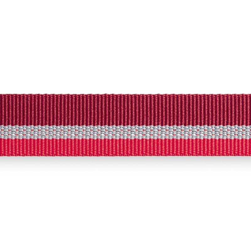Ruffwear Crag Collar