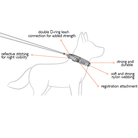 EzyDog Double Up Collar