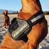 EzyDog Convert Harness