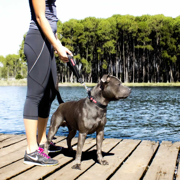EzyDog Neo Mongrel Close Control Leash