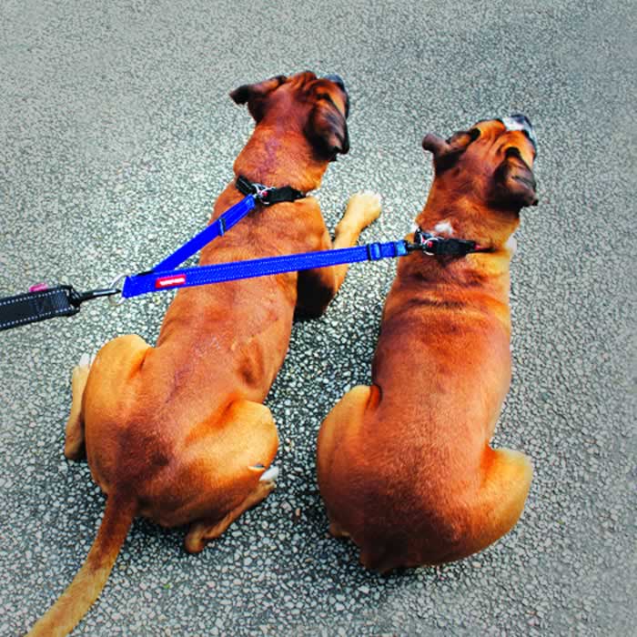 EzyDog Soft Touch Coupler