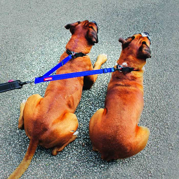 EzyDog Soft Touch Coupler