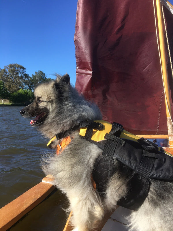 EzyDog Standard Dog Floatation Vest