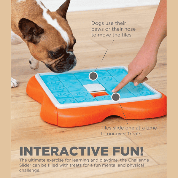 Nina Ottosson Dog Challenge Slider
