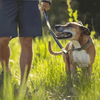 Ruffwear Chain Reaction Dog Collar