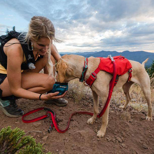 Ruffwear Flat Out Dog Collar