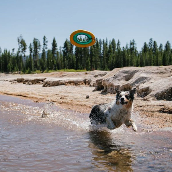 Ruffwear Hydro Plane