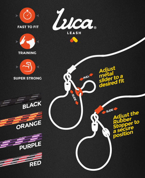 EzyDog Luca Leash