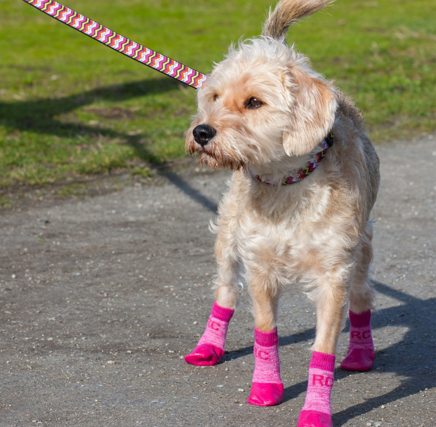 Sporty Pawks Sport Indoor / Outdoor Dog Dog Socks