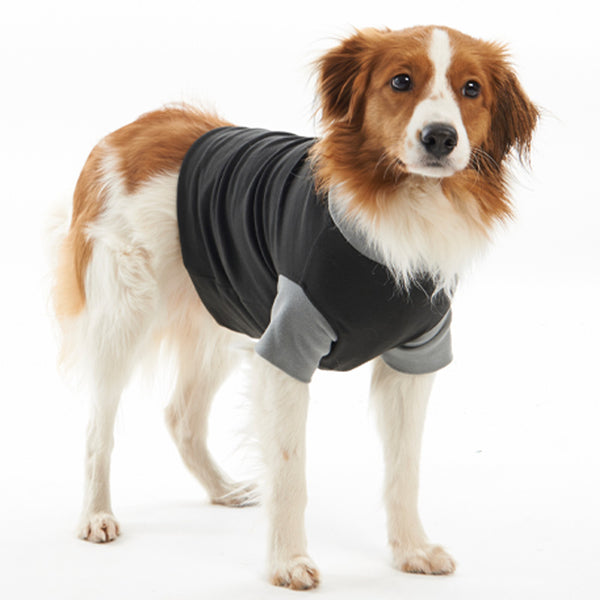 Kruuse Buster Body Suit for Dogs