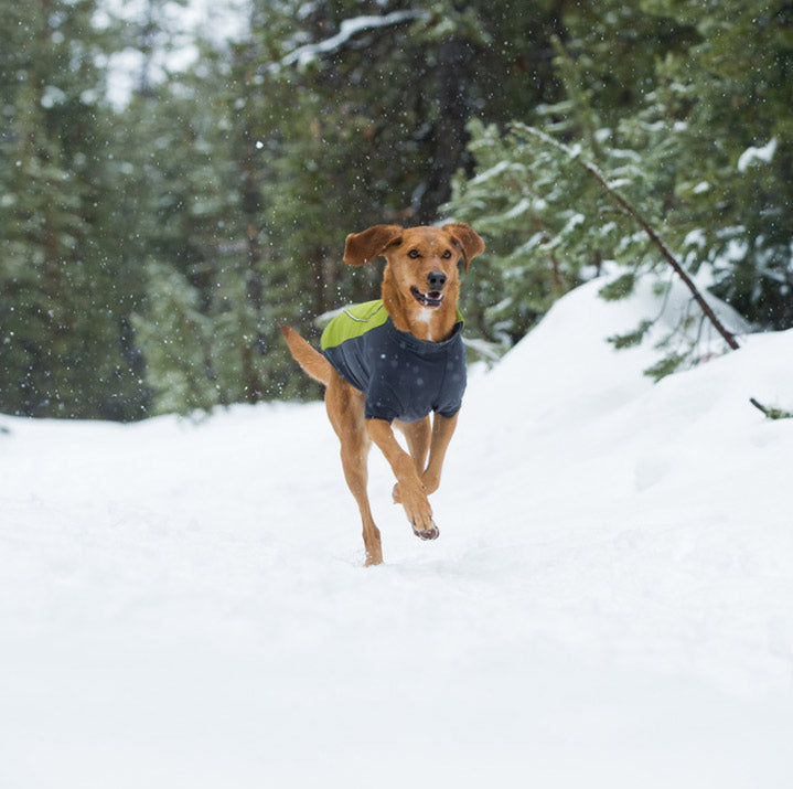 Ruffwear Cloud Chaser Soft Shell Jacket