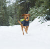 Ruffwear Cloud Chaser Soft Shell Jacket