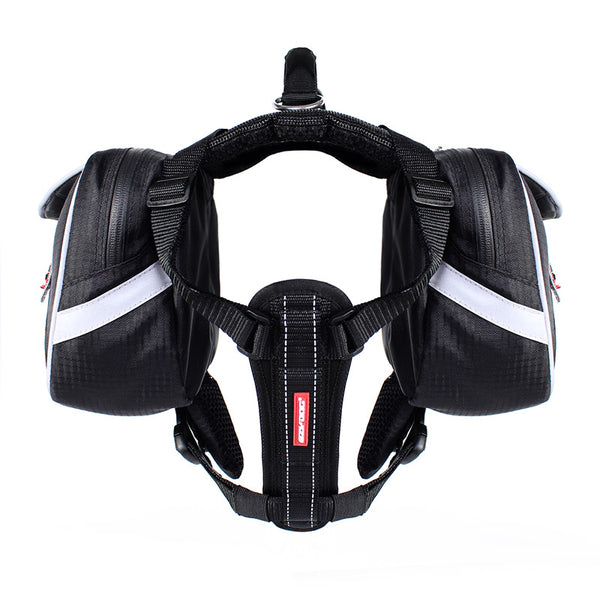 EzyDog Summit Backpack