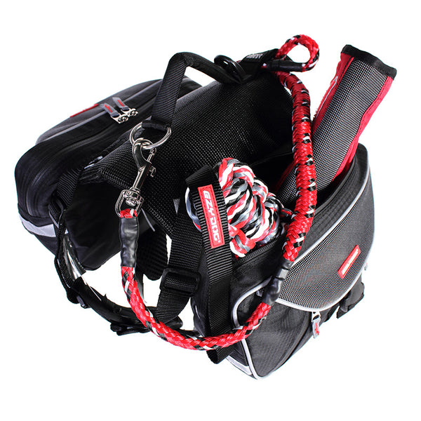 EzyDog Summit Backpack