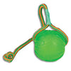 StarMark Swing n Fling Chew Ball