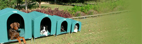 Dog Houses