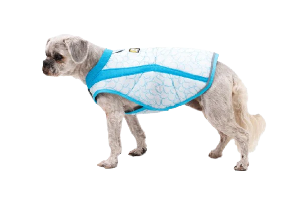 ⚡ Ruffwear Swamp Cooler Vest