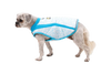 ⚡ Ruffwear Swamp Cooler Vest