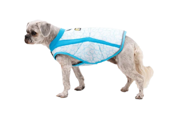 ⚡ Ruffwear Swamp Cooler Vest
