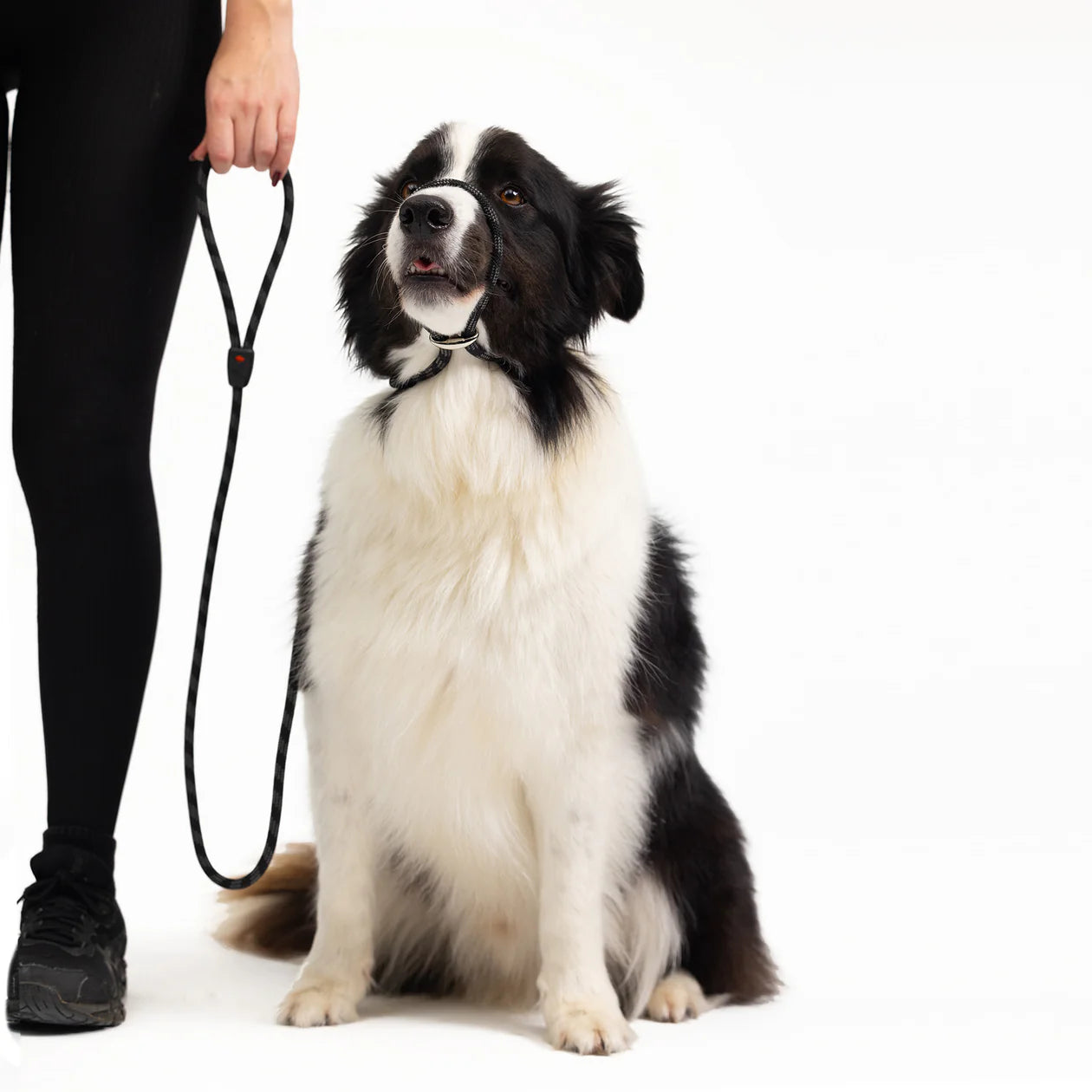 EzyDog Luca Leash