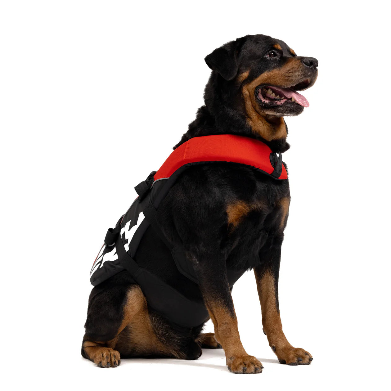 EzyDog Standard Dog Floatation Vest