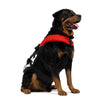 EzyDog Standard Dog Floatation Vest