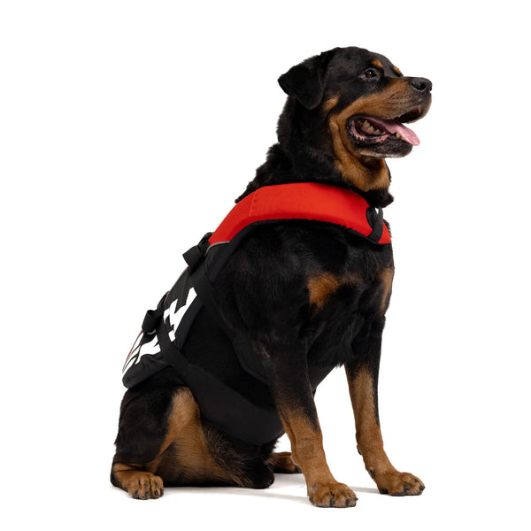 EzyDog Standard Dog Floatation Vest