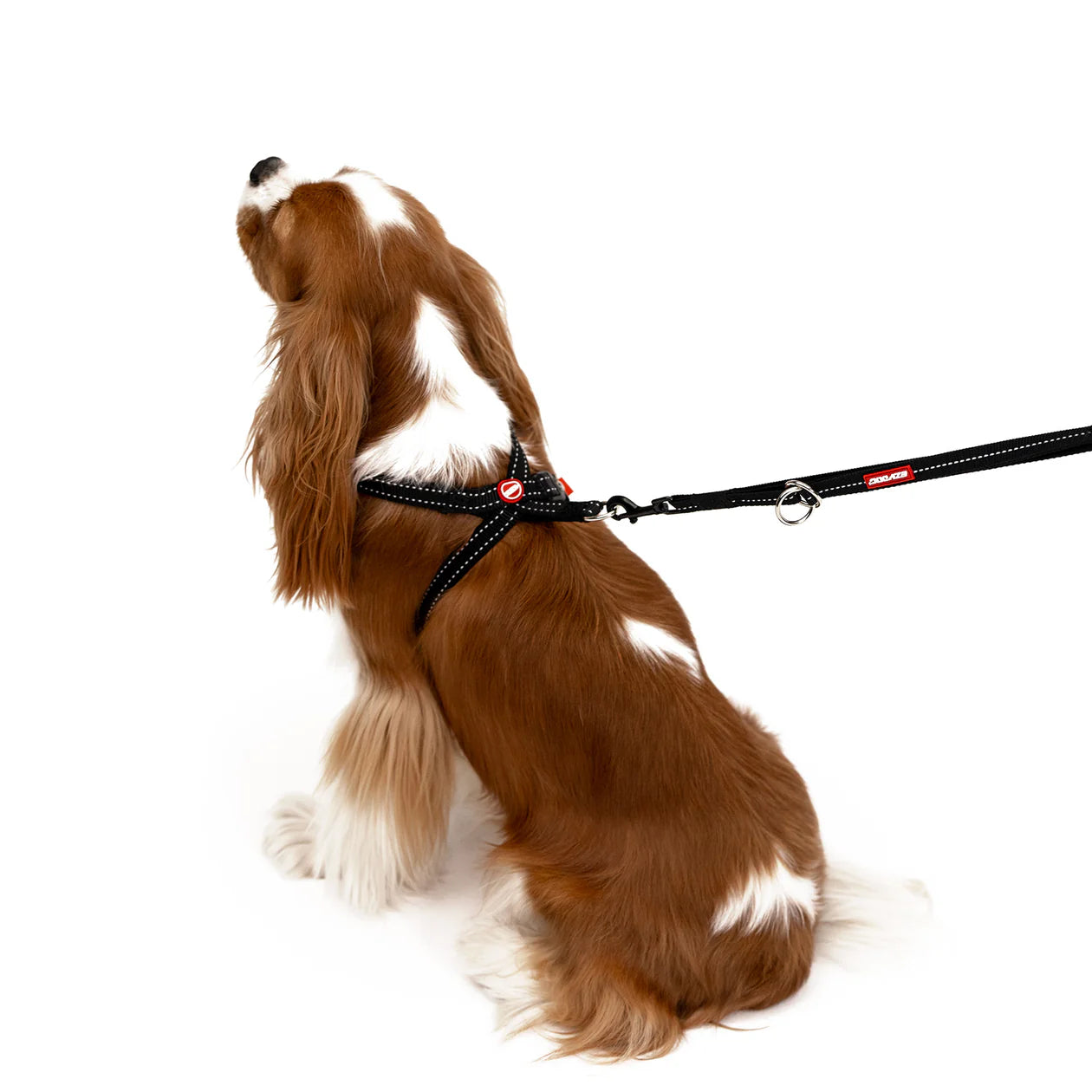 EzyDog CrossCheck Harness