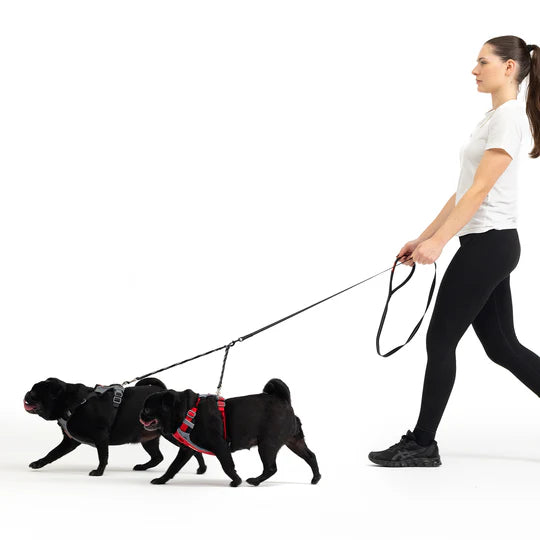 EzyDog Cujo Leash Coupler