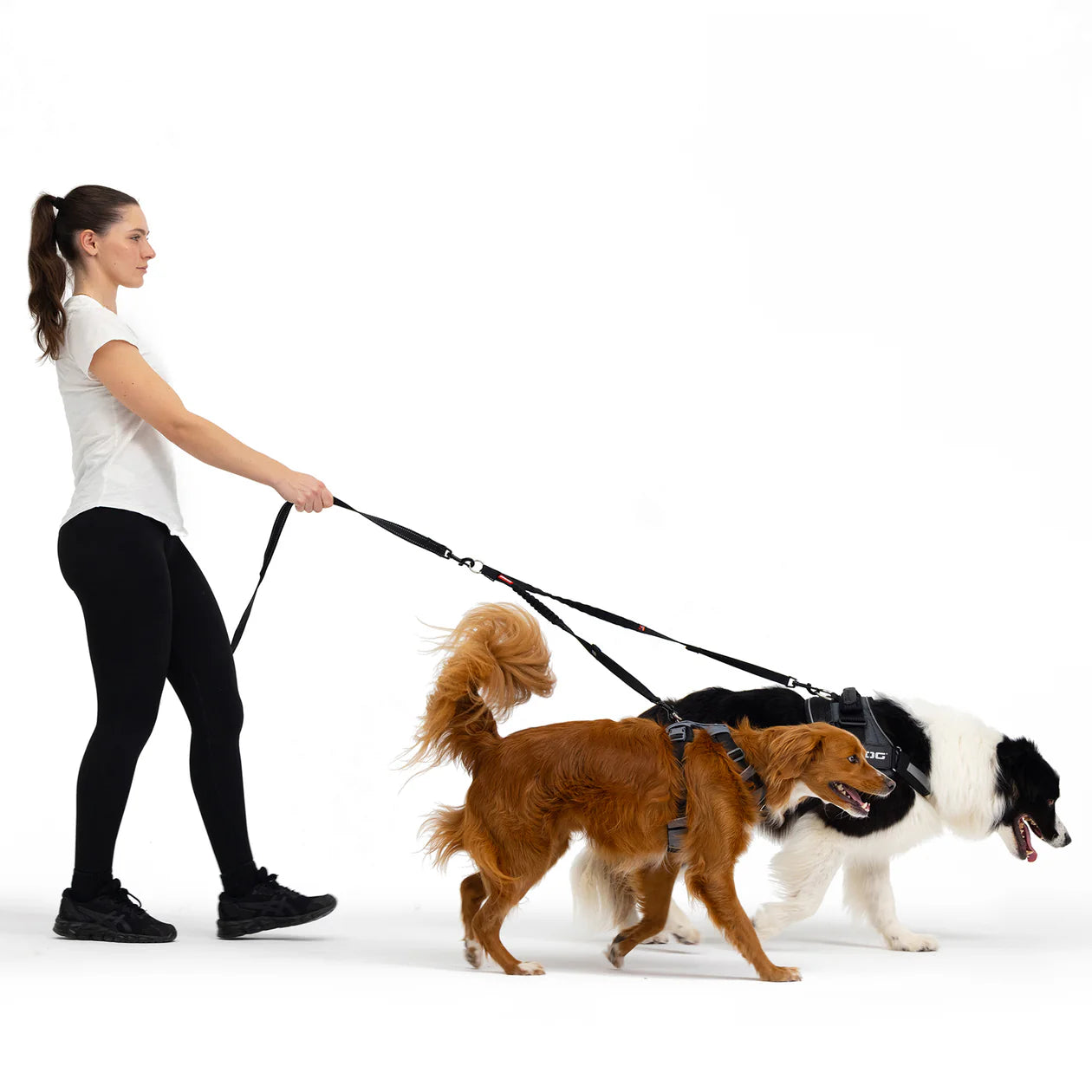 EzyDog Zero Shock Coupler