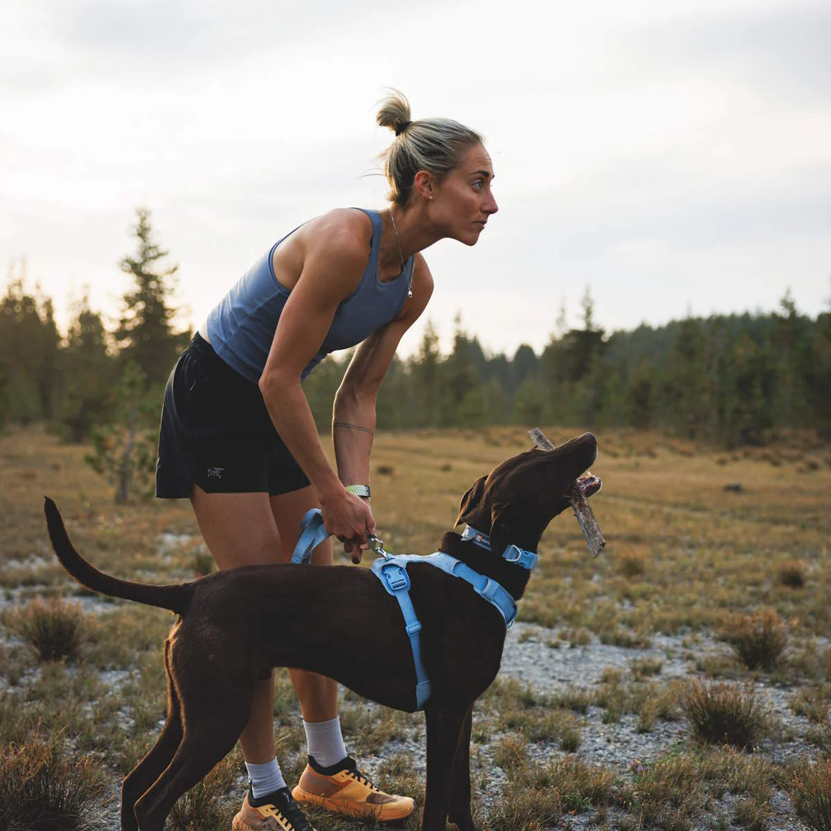 Ruffwear Front Range Flex Collar