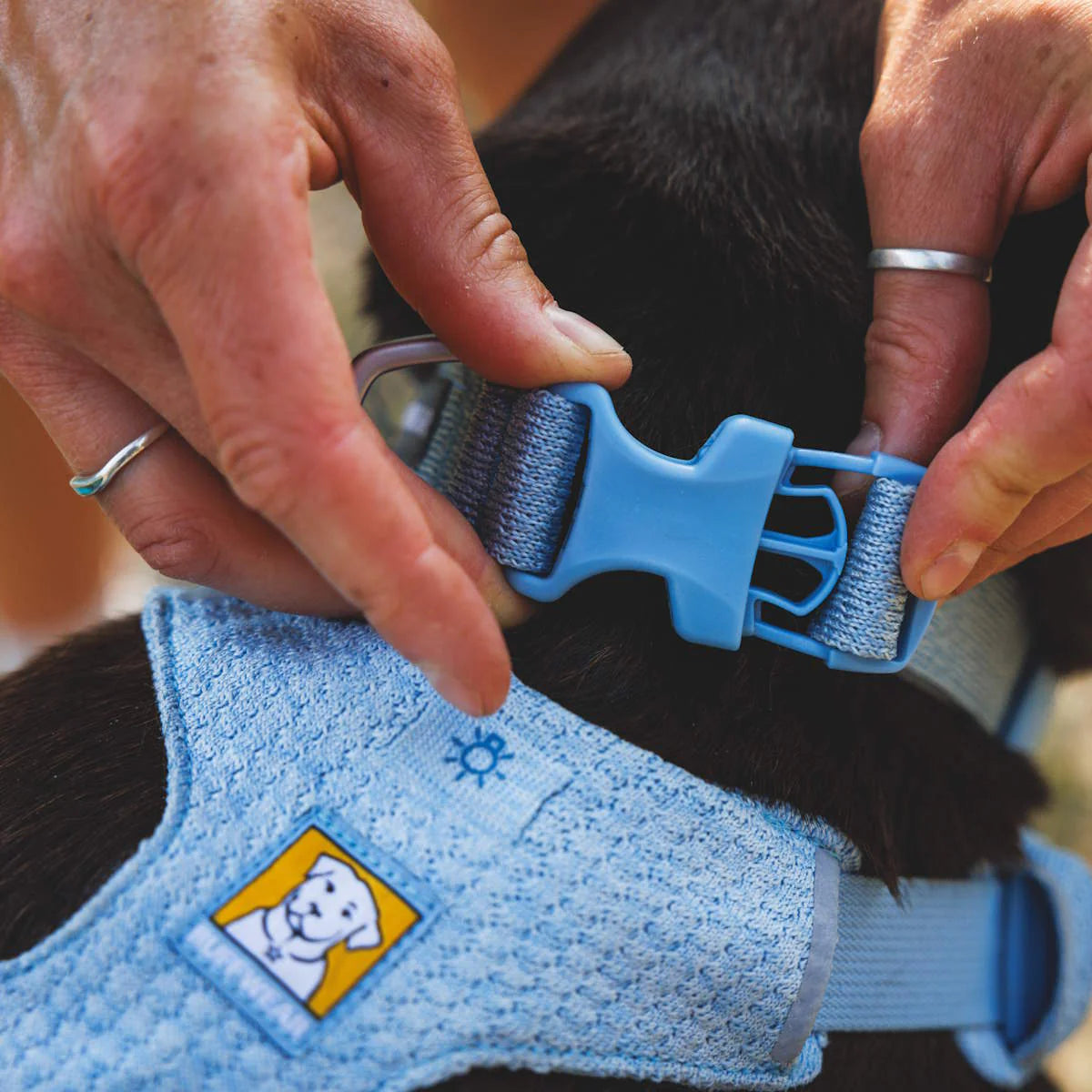 Ruffwear Front Range Flex Collar