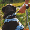 Ruffwear Front Range Flex Collar