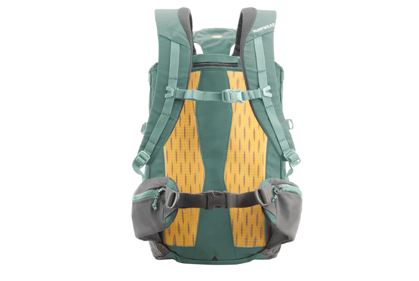 Hitch Hiker Dog Backpack Carrier